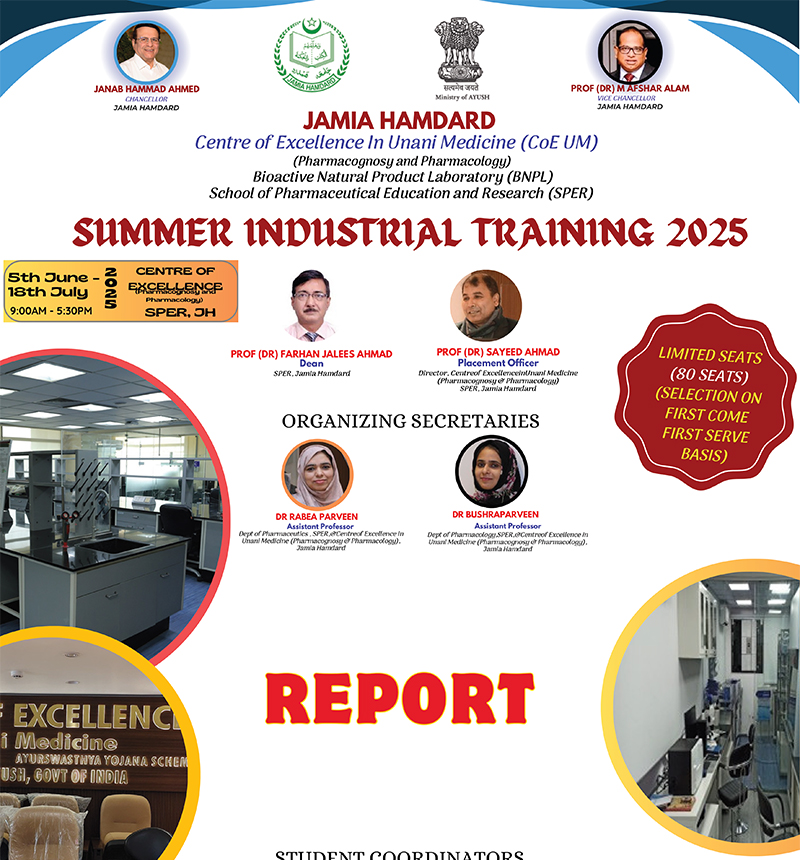 Summer Training Report 2025
